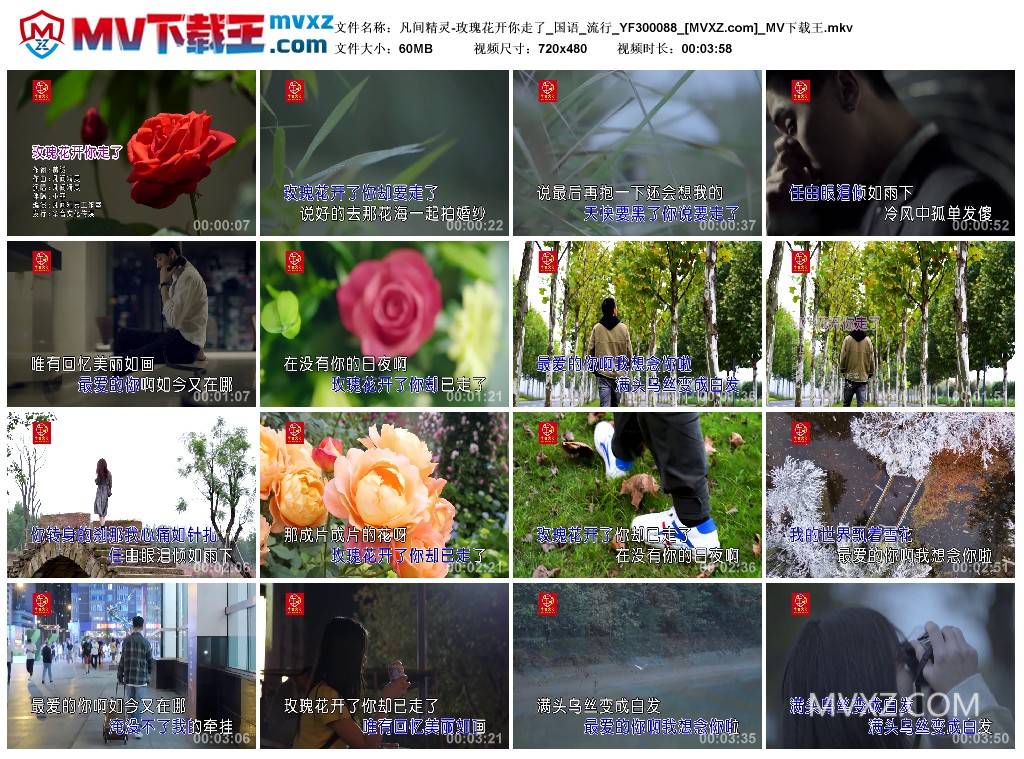 凡间精灵-玫瑰花开你走了_国语_流行_YF300088